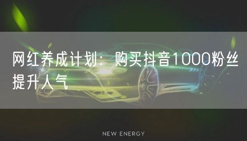 网红养成计划：购买抖音1000粉丝提升人气