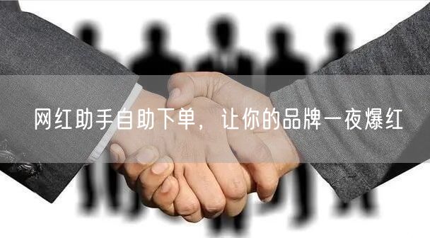 网红助手自助下单，让你的品牌一夜爆红