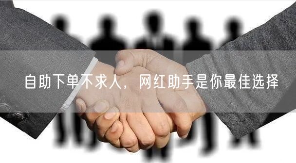 自助下单不求人，网红助手是你最佳选择
